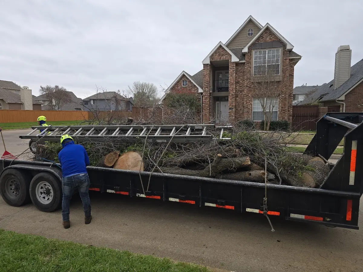 Expert Crown Reduction with proper safety equipment in Adairville